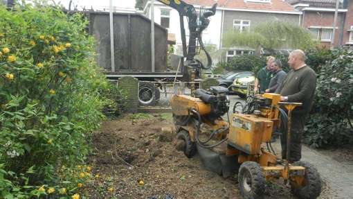 bomen rooien herkenbosch